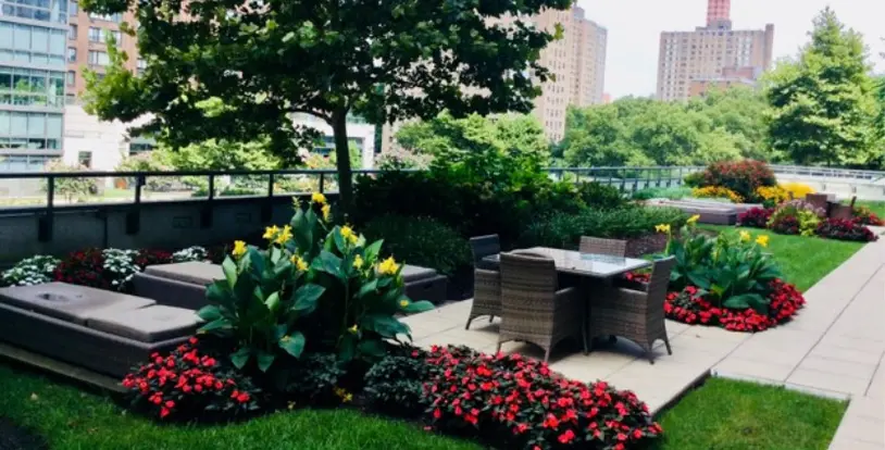 Coronavirus Update from BrightView